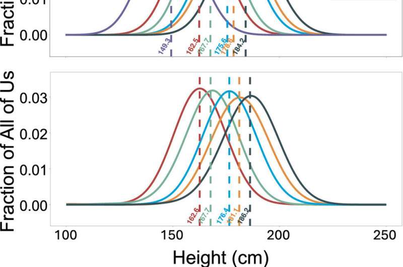 Y chromosome makes men taller than women, finds a new study