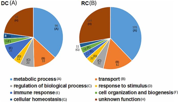 Study-reveals-new-protein-targets-in-deadly-tick-borne-bacterium-for.jpg