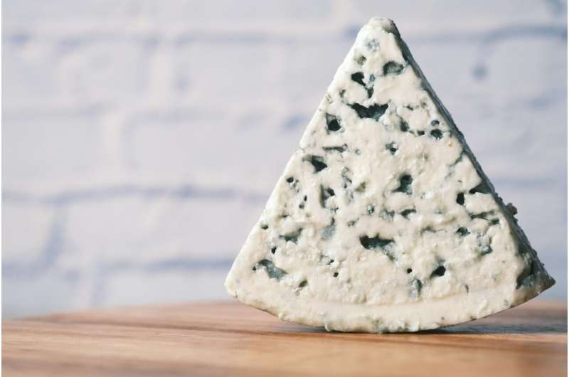 Credit: Unsplash/CC0 Public Domain cheese