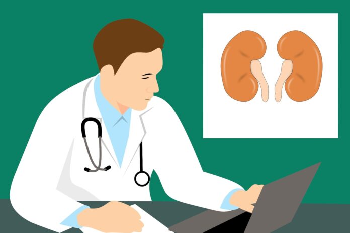 Model-shows-which-is-better-for-individual-advanced-chronic-kidney.jpg